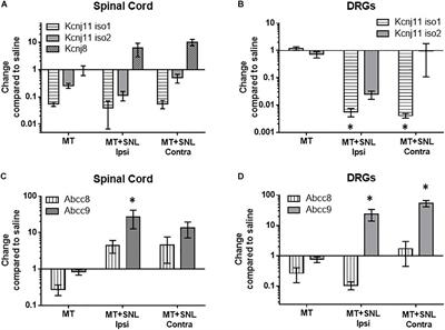 Morphine Efficacy, Tolerance, and Hypersensitivity Are Altered After Modulation of SUR1 Subtype KATP Channel Activity in Mice